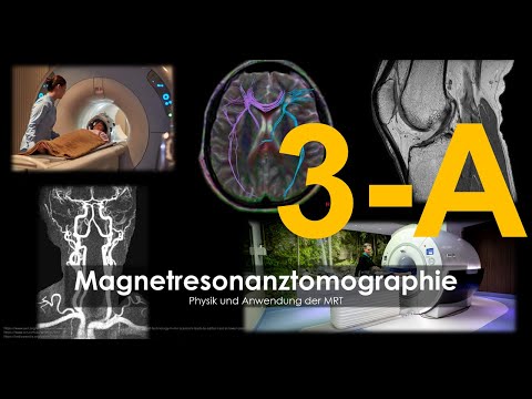 Grundlagen der Magnetresonanztomographie - Physik der MRT 3-A