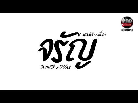 #คัดเพลงฮิตในTikTok ( จรัญ - GUNNER x BIGSLP ) รำจัด V.แดนซ์ยกล้อ Pao Remix