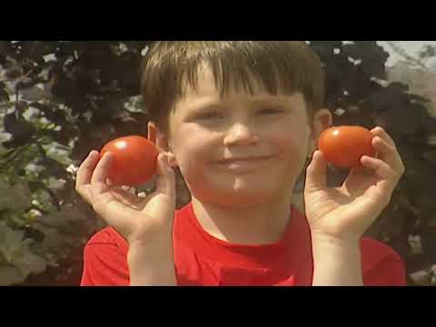 Teletubbies - Colours-Red (US Version)