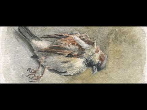 Catullus III, "Lugete, o Veneres Cupidinesque", read in Latin with English subtitles