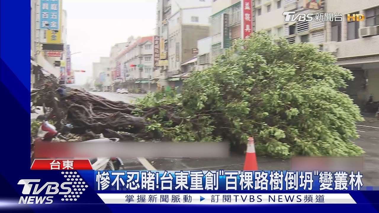 慘不忍睹！　台東重創「百棵路樹倒坍」變叢林