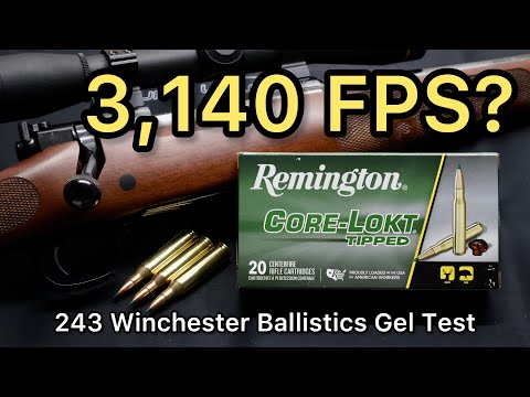 SPEED DEMON?? 243 Winchester Remington CoreLokt Tipped 95gr Ammo Test