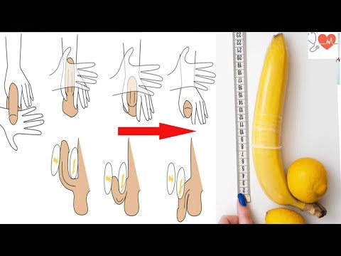 Formy penisa u mężczyzn