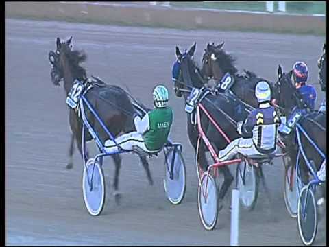 Trotto 19/11/2015 - 4° corsa