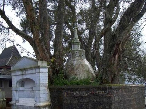 download lagu mp3 mp4 Ashok Vatika Where Ravana Kept Sita Photos, download lagu Ashok Vatika Where Ravana Kept Sita Photos gratis, unduh video klip Ashok Vatika Where Ravana Kept Sita Photos