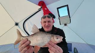 Kauno Marių Monstrinė Kuoja ir Karšiokai