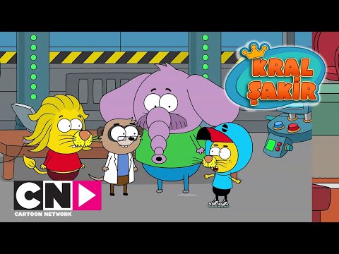 KRAL ŞAKİR | Süper Hızlı Şakir | TAM BÖLÜM | Cartoon Network Türkiye
