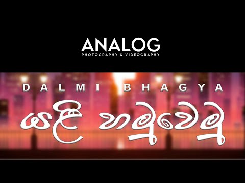 YALI HAMUWEMU  | යළි හමුවෙමු - Coverd by Dalmi Bhagya