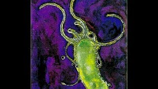 What is Helicobacter pylori (H.pylori)?