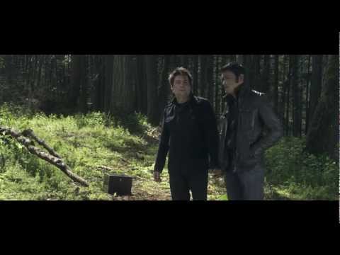 Video $The Company of Thieves