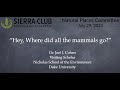 Hey, Where did all the mammals go?