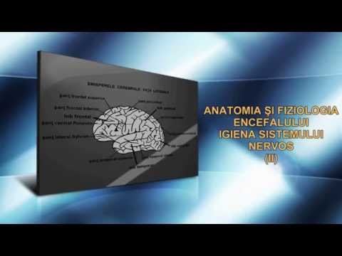 stimularea creierului și a vederii viziunea 0 6 și 0 9