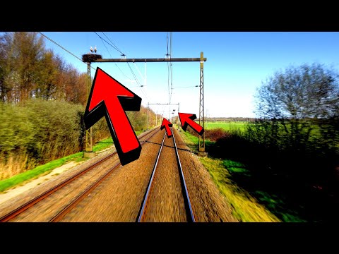 Dozens of storks posing a threat: this is getting out of hand: Zwolle - Groningen SNG 11/4/2023