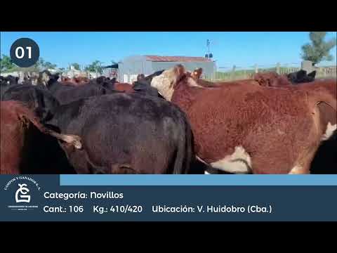 Lote NV - Villa Huidobro Cba