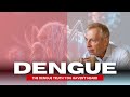 I Got Dengue Twice And Was Crawling On The Floor Doctor S Warning For Travelers To Southeast Asia