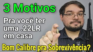 Subestimada e Muito ÚTIL! 3 Motivos pra ter uma .22 LR! É Bom pra Sobreviver no Caos?