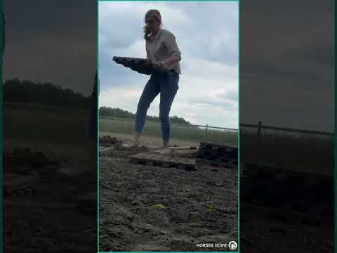 Schneller Rückbau des INB® Systems #horseshome #inbsystem #inbplatten #nachhaltig #recycling #pferde