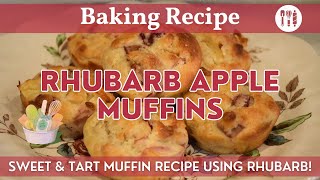 Rhubarb Apple Muffins | Rhubarb & Apple Baking Recipe | Sweet & Tart Muffins Using Rhubarb!