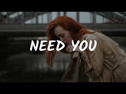 Shockline x Truly High x Haley Maze - Need You (Lyrics)