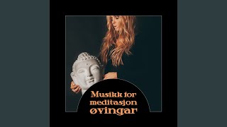 Sinn og kroppsforbindelse