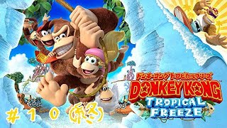 【ドンキーコング　トロピカルフリーズ】(＃１０)(終)