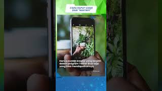 Selain TikTok dan YouTube, Konten Kreator di Twitter Juga Bisa Dapat Uang dari Ngetwit, Ini Caranya