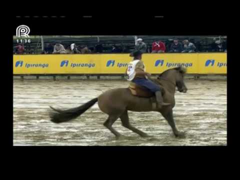 Aberta de Esteio – 2° lugar machos – Lanceiro II de Santa Edwiges