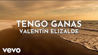 Valentín Elizalde - Tengo Ganas (Visualizer)