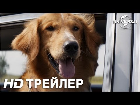 Трейлеры Собачья жизнь