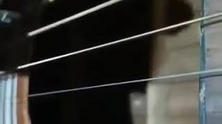 Download lagu Baru berajar mp3 Download lagu Baru berajar mp3