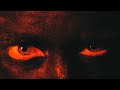 The Gulls The Bear MUSIC VIDEO