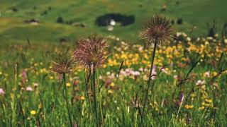 Download lagu Suara Angin Berhembus, Untuk Relaksasi,Tidur Dan Terapi mp3 Download lagu Suara Angin Berhembus, Untuk Relaksasi,Tidur Dan Terapi mp3