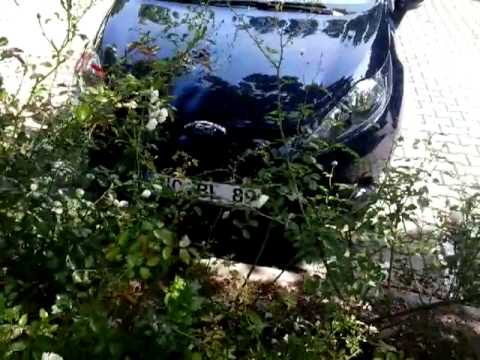 Minecraft(HD+)#1050-"Meine Welt ist zerstort"!