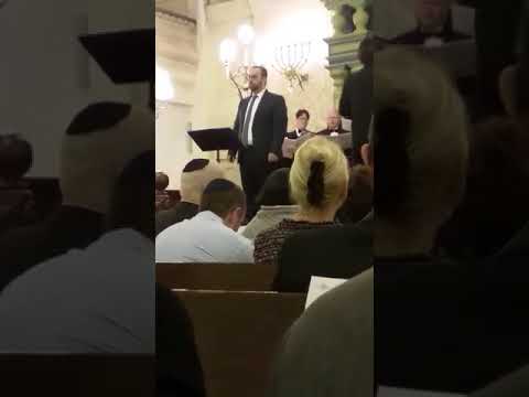 Av Horachamim Zevi Muller at Park East 2017