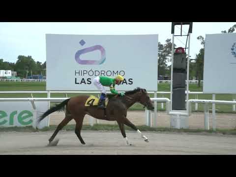 221118 c02 - SPECIAL ENERGY (BRZ) - HIPODROMO LAS PIEDRAS