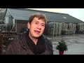 'Dit is de parel onder de kerstbomen'