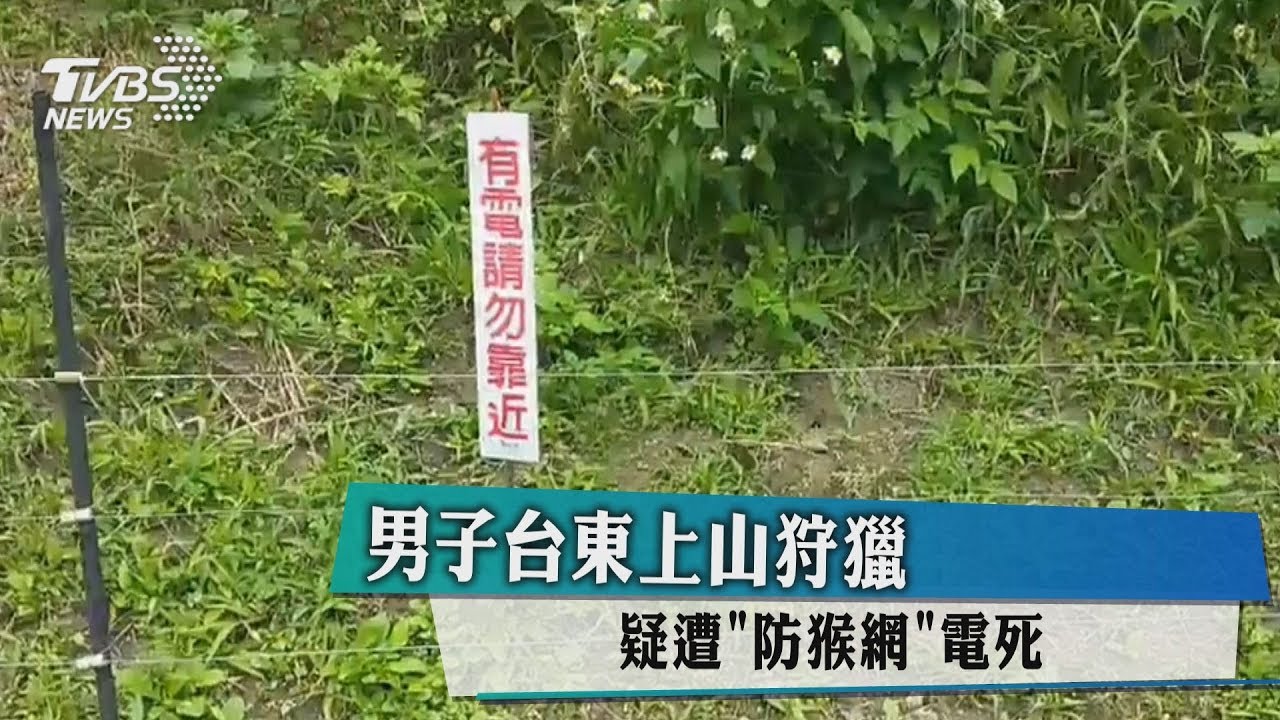 男子台東上山狩獵 疑遭「防猴網」電死