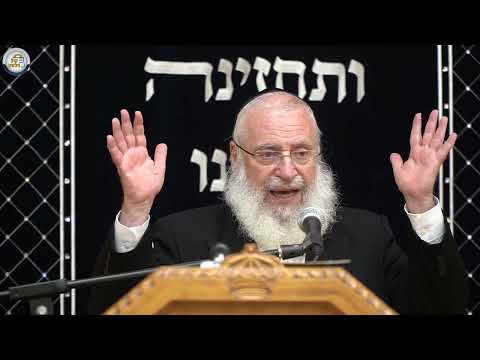 גדול כבוד הבריות | שיעור מאת הרב אשר וייס שליט"א | פרשת בלק | תשפ"ד