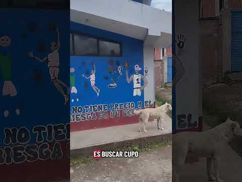 VISITANDO COLEGIOS: Manuel Vivanco Altamirano