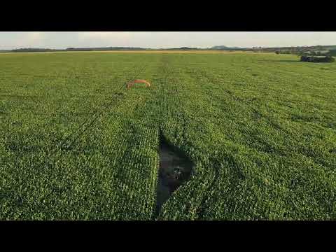 Surfando no Milharal de Paramotor