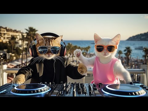 French Riviera Romance 💕 | Jazz House Sunset Set in Nice, France 🎷🌅