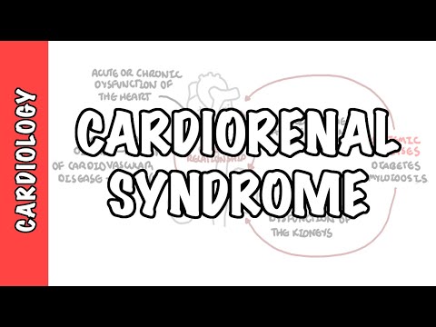 Le syndrome cardio-rénal (SCR)  - classification, mécanisme, physiopathologie, algorithme de gestion.