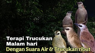 Download lagu TERAPI TRUCUKAN MALAM HARI - TERAPI TRUCUKAN STRES MACET BUNYI BIAR CEPAT GACOR mp3 Download lagu TERAPI TRUCUKAN MALAM HARI - TERAPI TRUCUKAN STRES MACET BUNYI BIAR CEPAT GACOR mp3