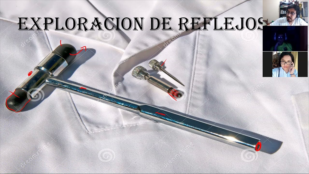 FISIOLOGIA Clase #1 /  Exploración de Reflejos pt. 1