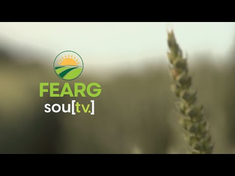 UMA MARAVILHA DE MONTE BELO DO SUL EM GRAVATAÍ | CORTES | FEARG 2025