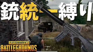 味方全員同じ武器縛りが予想以上に難しすぎた件 - PUBG【りゅうにゃん】