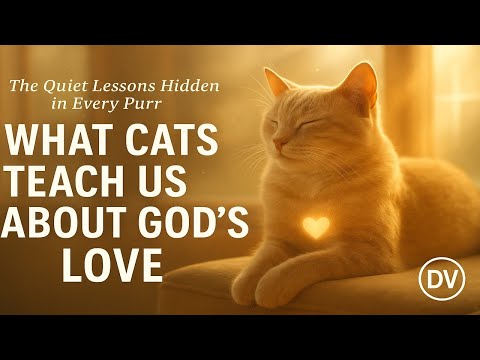 🐾 What Cats Teach Us About God’s Love | The Quiet Lessons Hidden in Every Purr