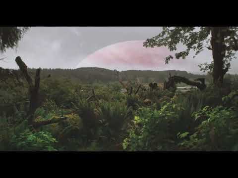 arbour - mid-morning fog