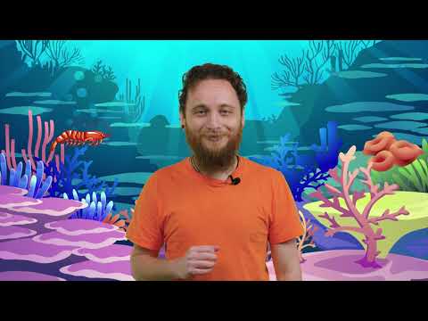 Episodju Nru 155 – L-oċean