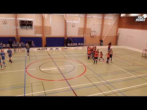 T12: Blue Fox - FBC Remix, 2.4.2022